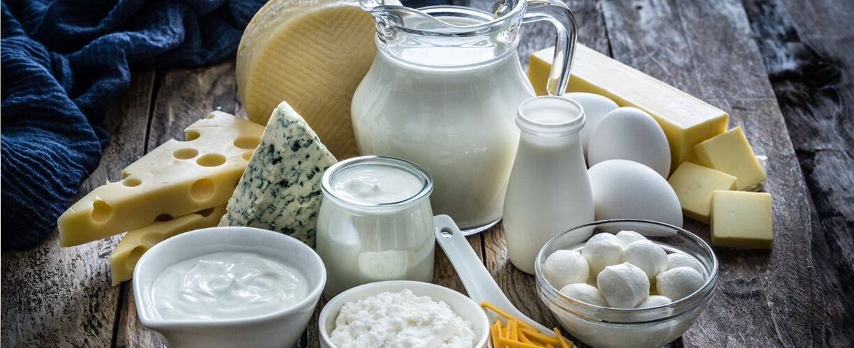 Bacteriophages infecting lactic acid bacteria can disrupt the production of fermented dairy products like yogurt and cheese.