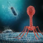 Bacteriophage on the surface of bacteria UK innovate