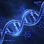 Isolation of phage DNA