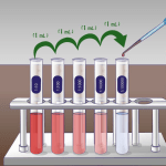 Phage plaque assay