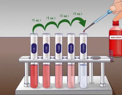 Phage plaque assay