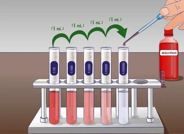 Serial dilution of bacteriophage stock