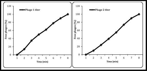 Adsorption rate graph