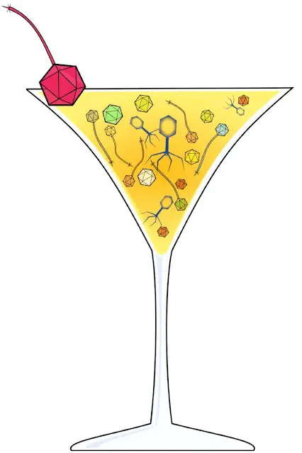 Phage cocktail art