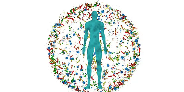 Microbiome in human