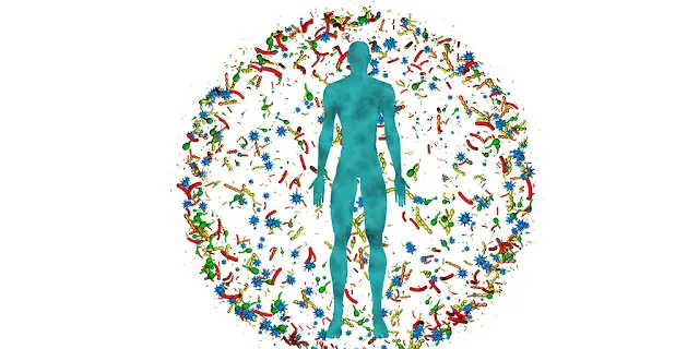 Human microbiome