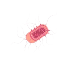 bacteriaxyz logo