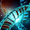 Phage DNA