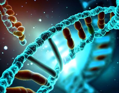 Phage DNA