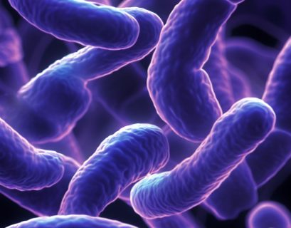 mycobacterium