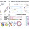 Phage scope functionality