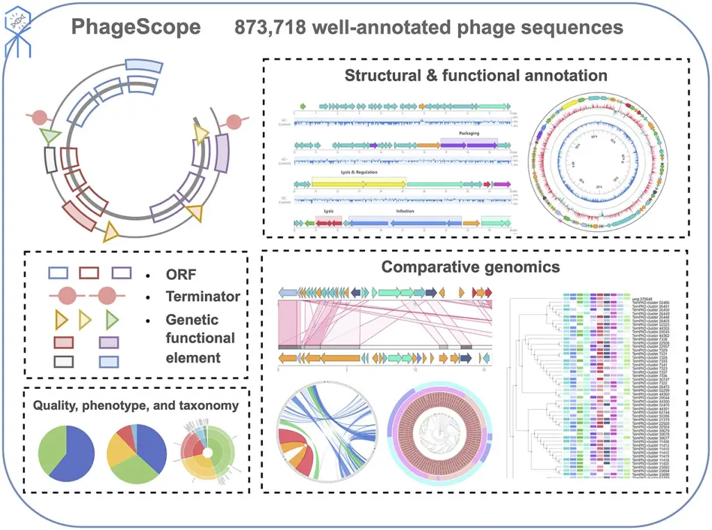 Phage scope functionality