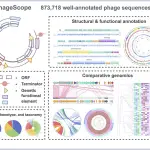 Phage scope functionality