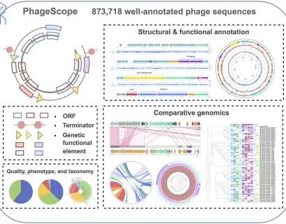 Phage scope functionality