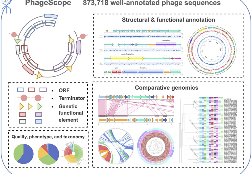 Phage scope functionality