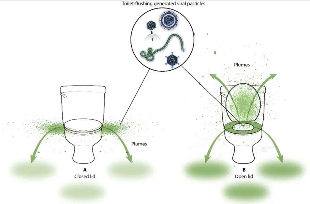 Illustration showing the aerosolization of MS2 and its dispersal to nearby areas following the flushing of a typical US household toilet