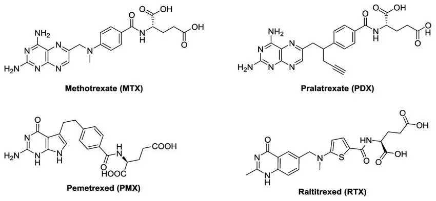 Structures of classical antifolates | Antiphage System Leaving Bacteria Prone to Antibiotics