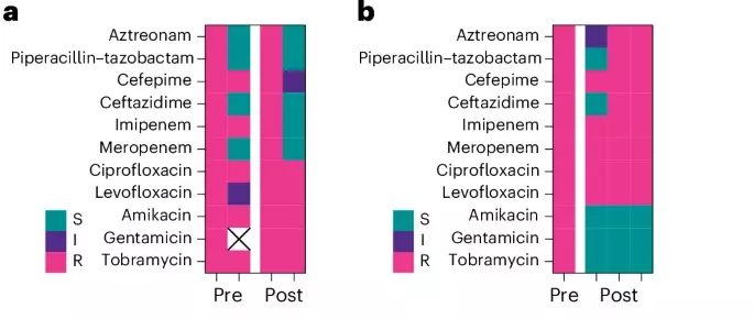 4159120253678Fig2HTML | The Phage phage therapy treatment protocol pseudomonas aeruginisa cystic fibrosis pulmonary infection