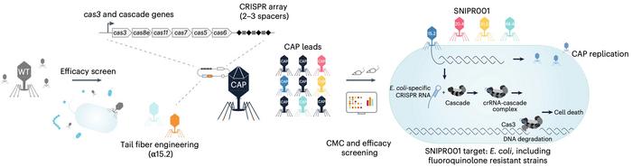csmSkaermbillede2c3f5831aae0a139c3af | The Phage