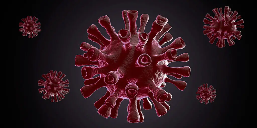 Virus