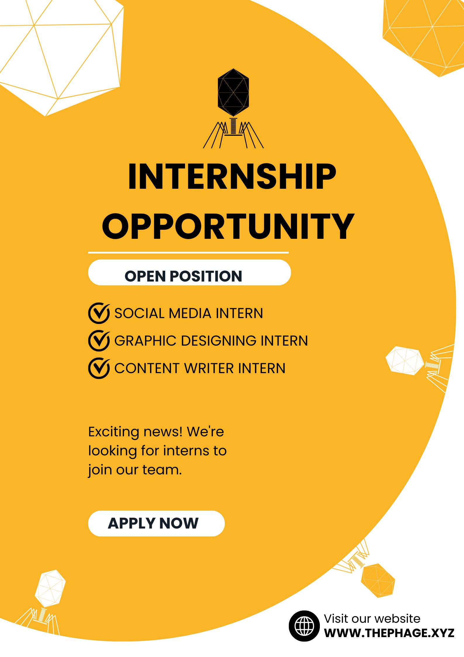 Internship 2025 The Phage Blog