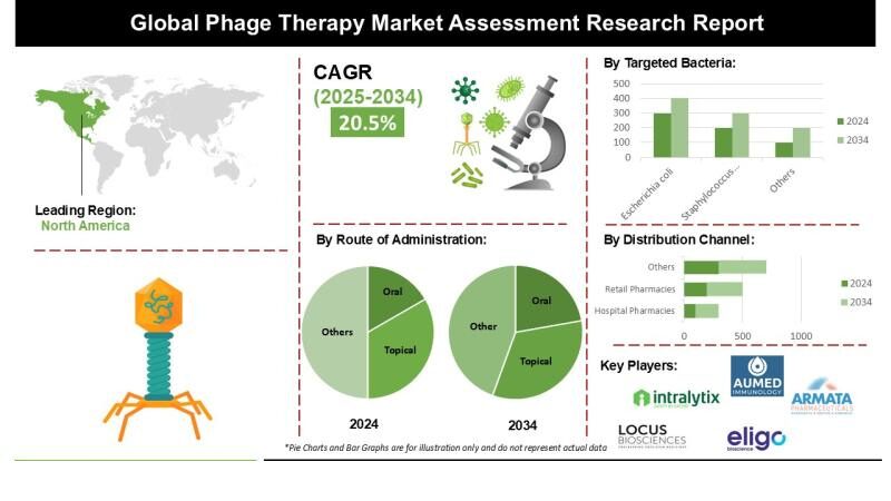 Image Source  INSIGHT ACE ANALYTIC PVT LTD
