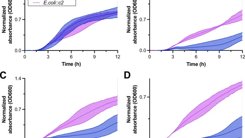 Line graph showing growth curves for P22 susceptible E coli strains incubated over time The graph compares bacterial growth with and without the c2 gene integrated into the bacterial chromosome Source Bataglioli 2026